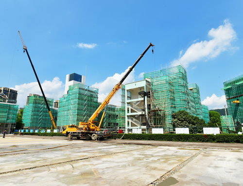 明珠小學改擴建工程有序推進，景觀工程為校園增添新氣象